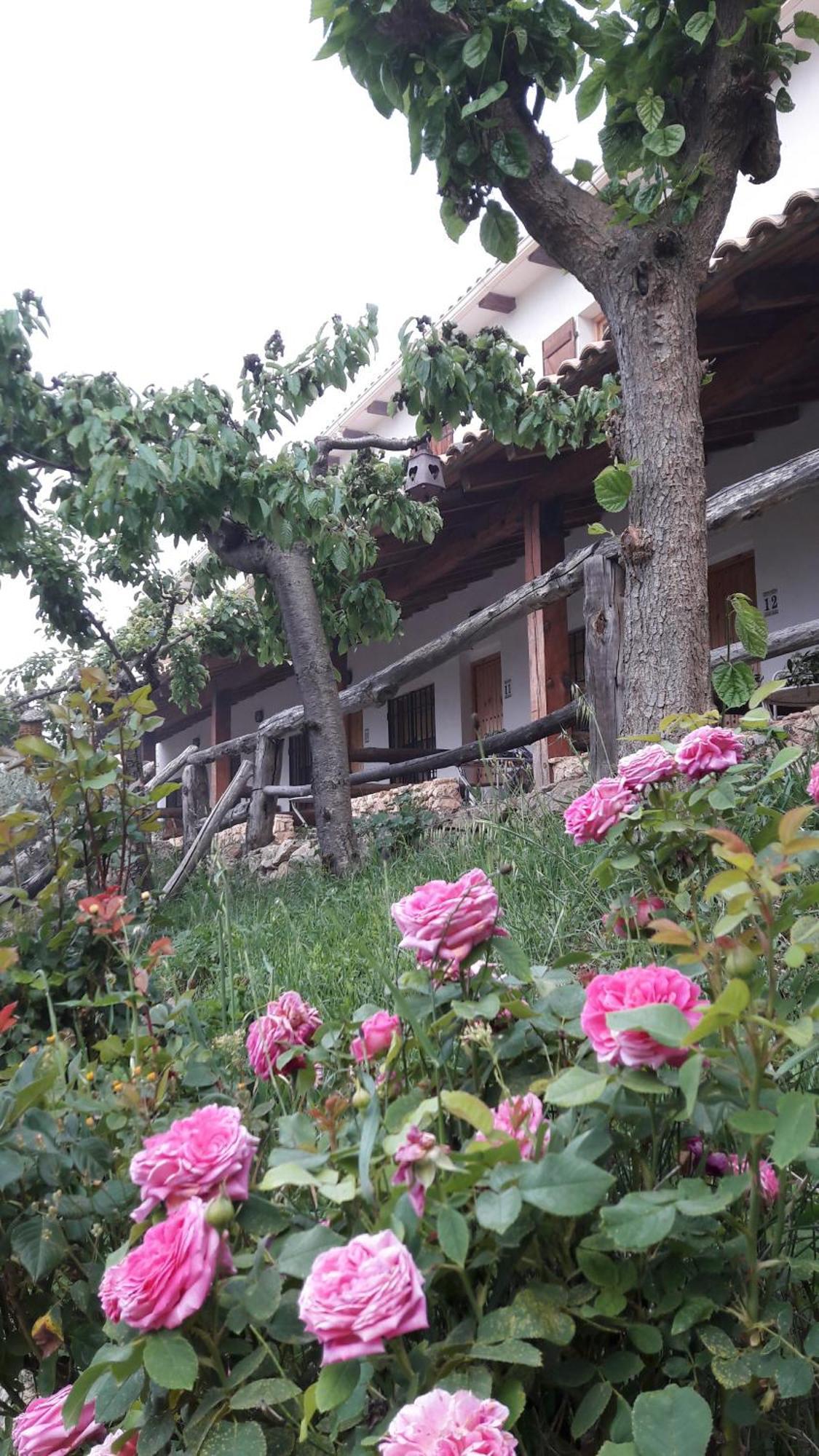 Chorros Del Rio Mundo Bed & Breakfast Riopar Exterior photo